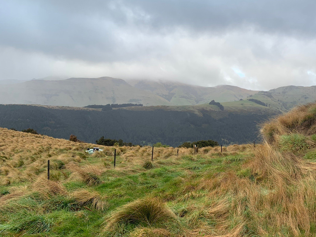 Banks Peninsula Experience景点图片