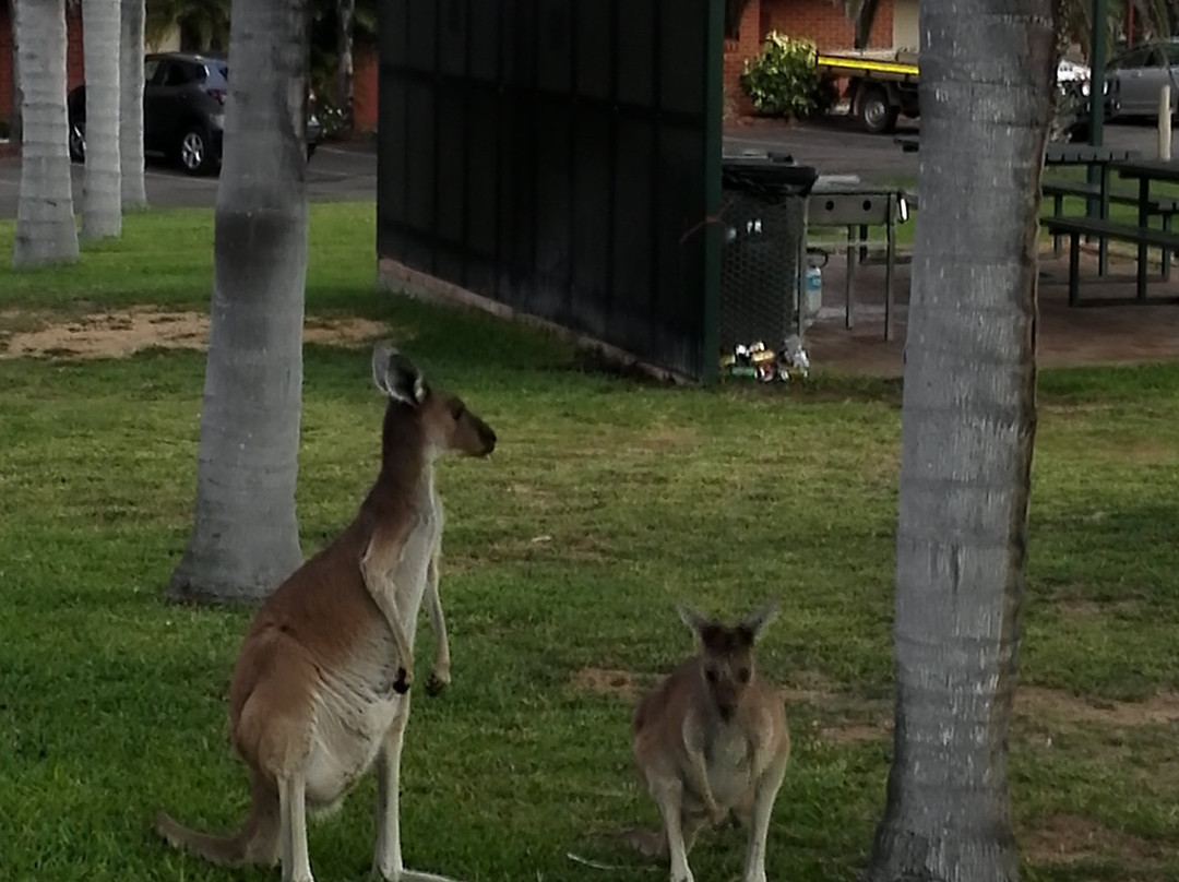 卡尔巴里棕榈度假村主图
