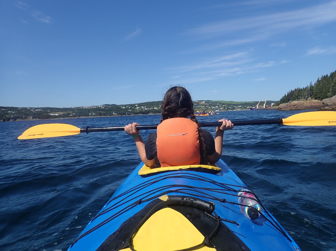 The Outfitters Adventures-Bay Bulls必去景点