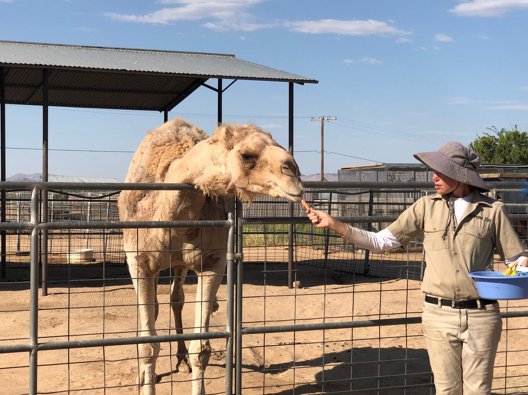 Hesperia Zoo-希斯皮里亚必去景点