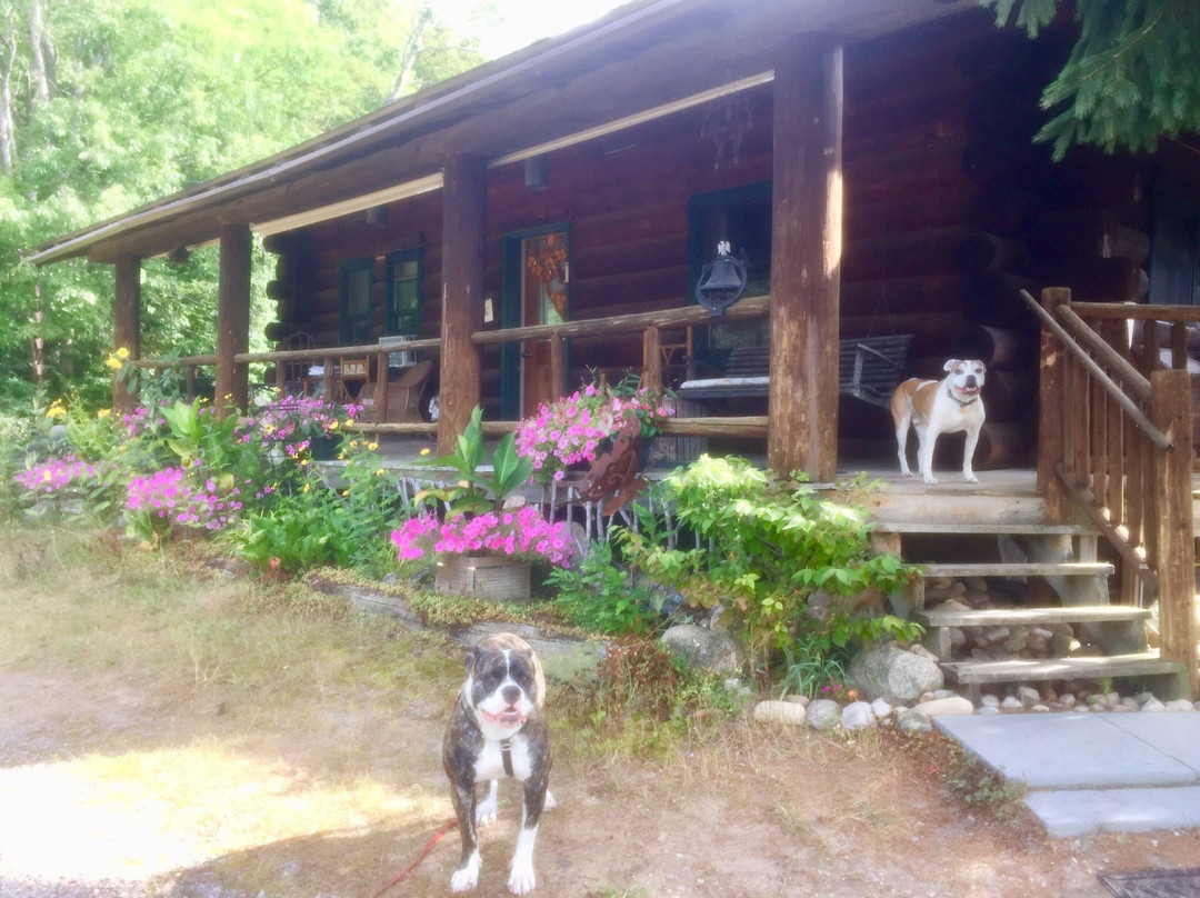 Grace Grange Lodge and Stable主图