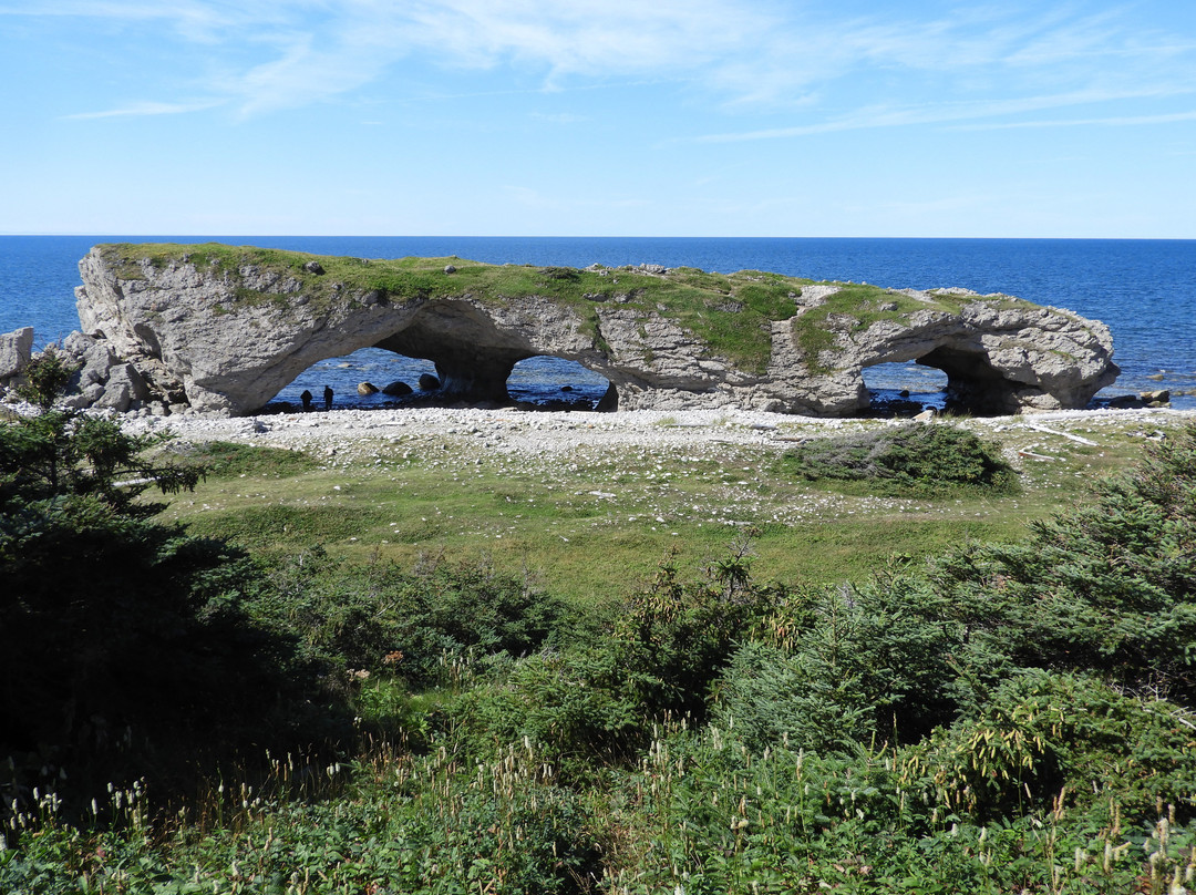 Arches Provincial Park景点图片
