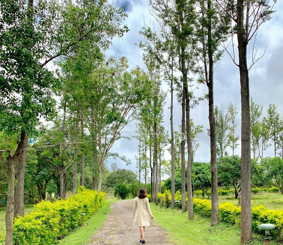 The Monarch Safari Park主图