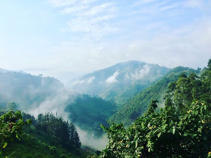 Mountain Gorilla Trekking Tours-Kisoro必去景点