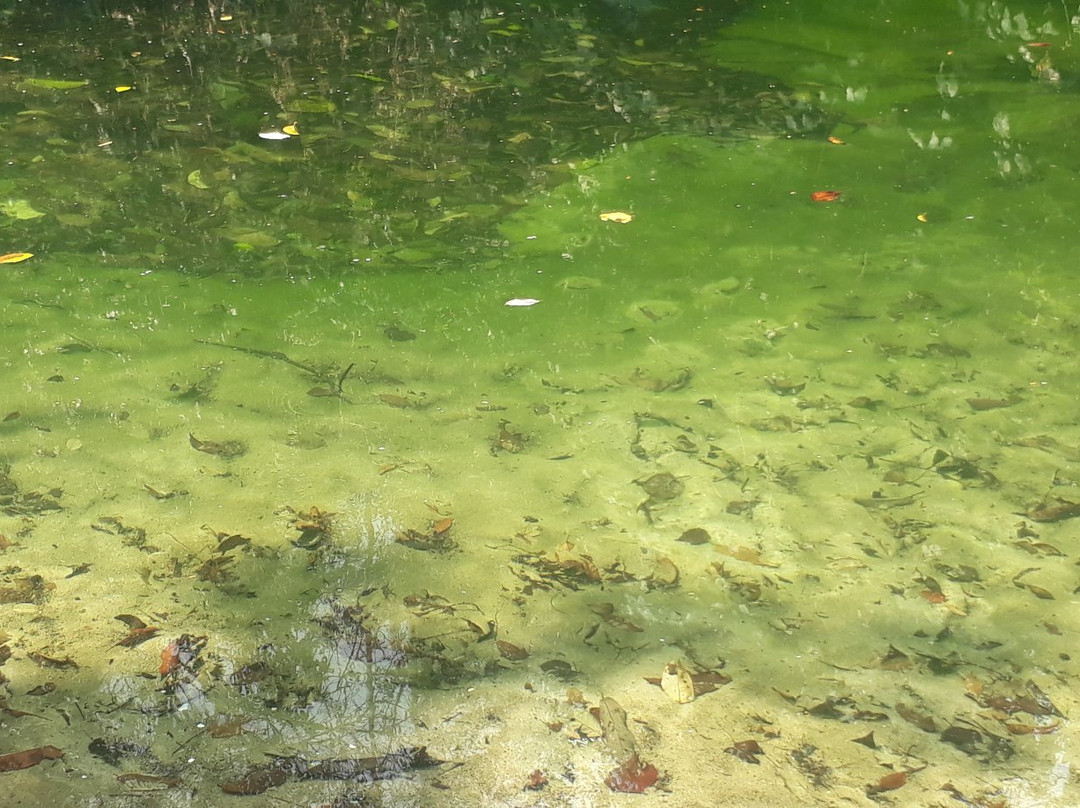 Shanay Timpishka-Pucallpa必去景点