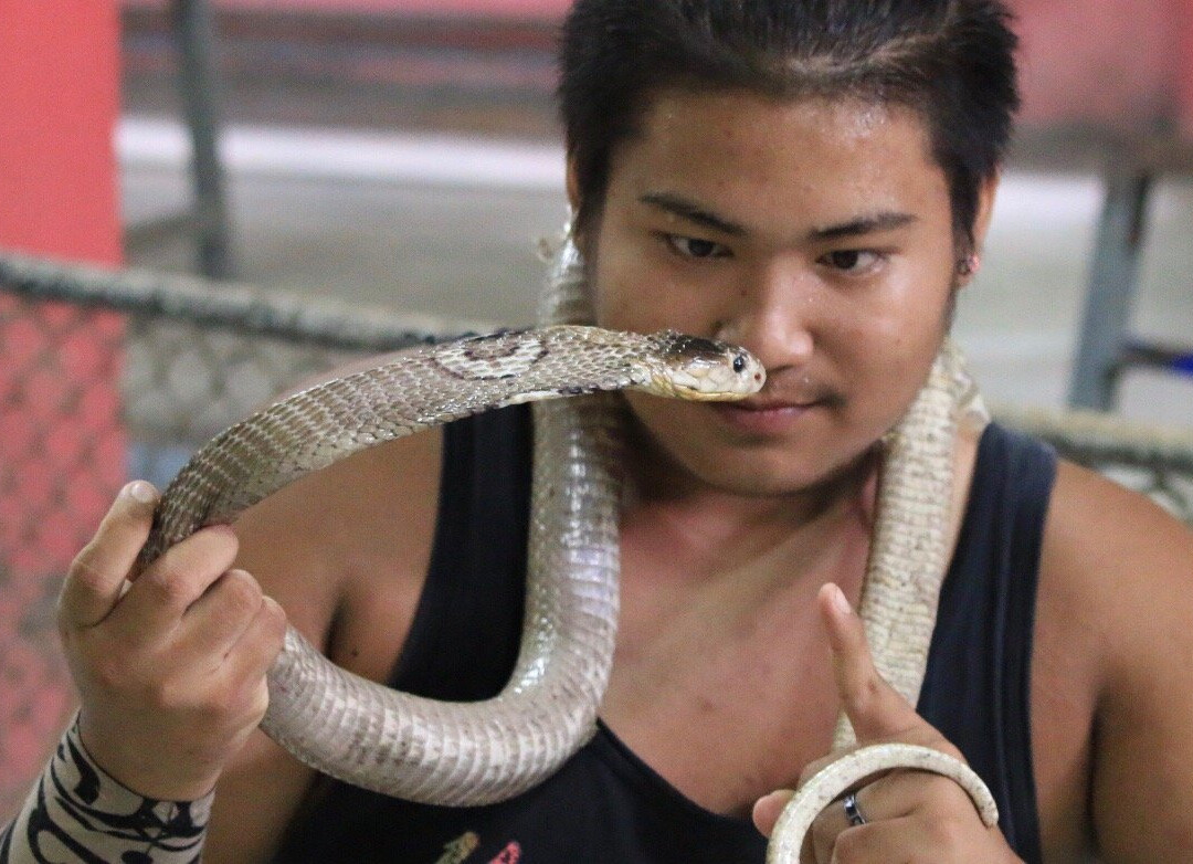 苏梅蛇场-苏梅岛必去景点