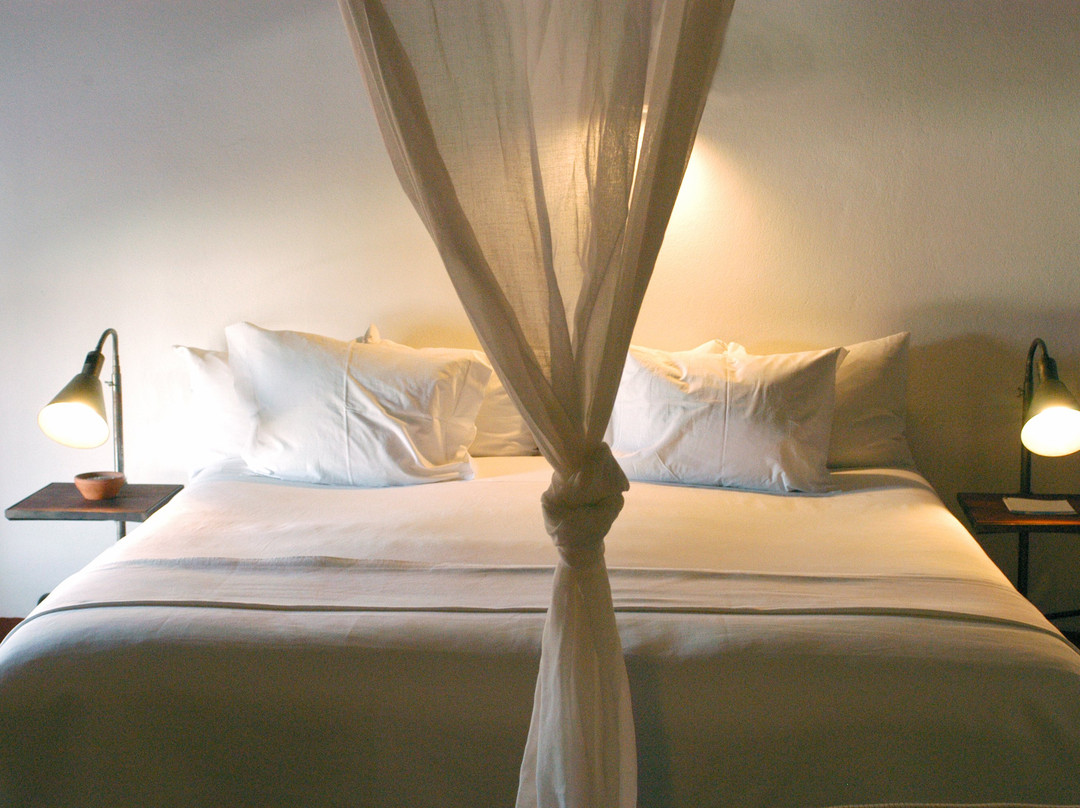 Hospederia Convento de la Parra主图