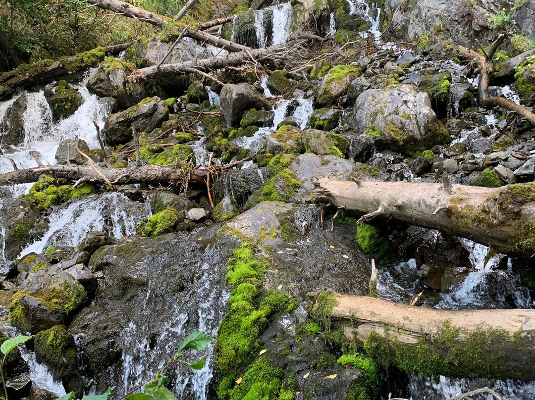 Pioneer Falls-帕尔默必去景点