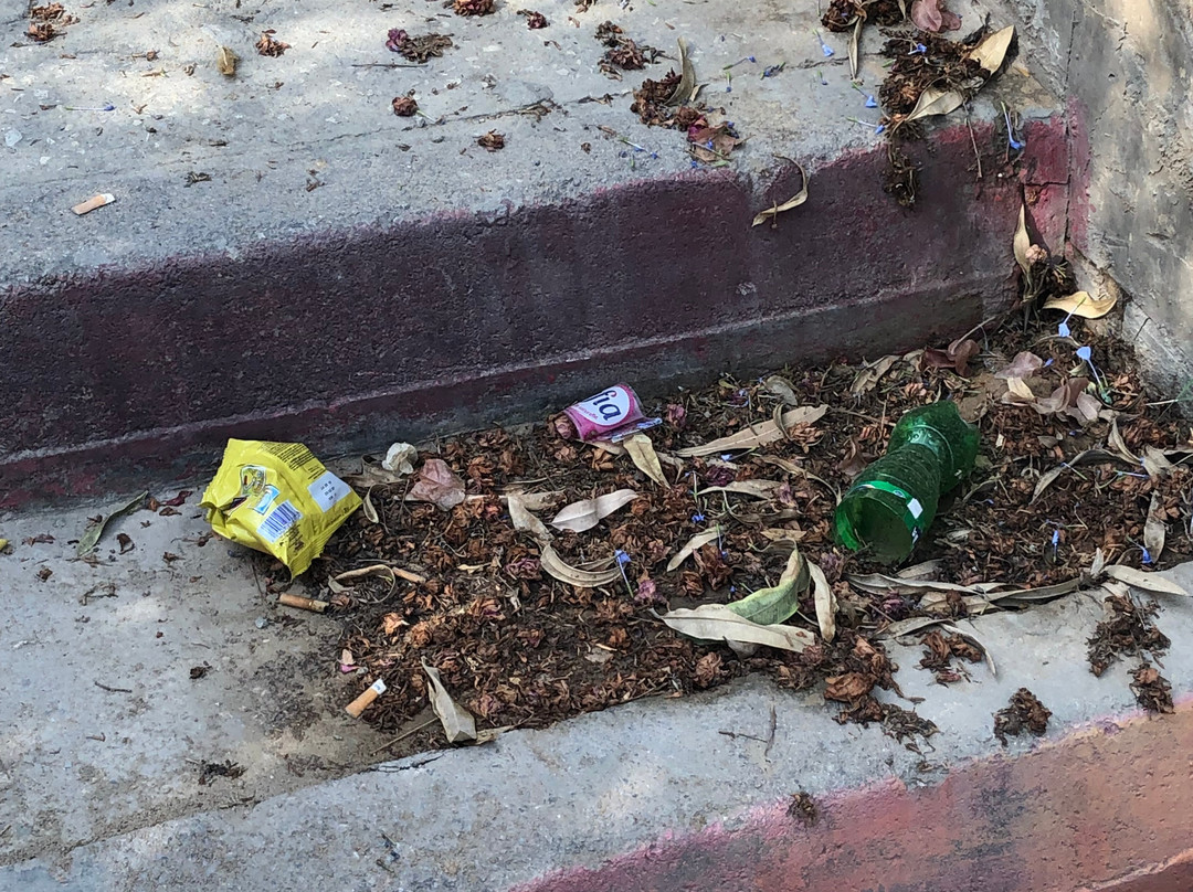 La Corniche-拉玛莎必去景点