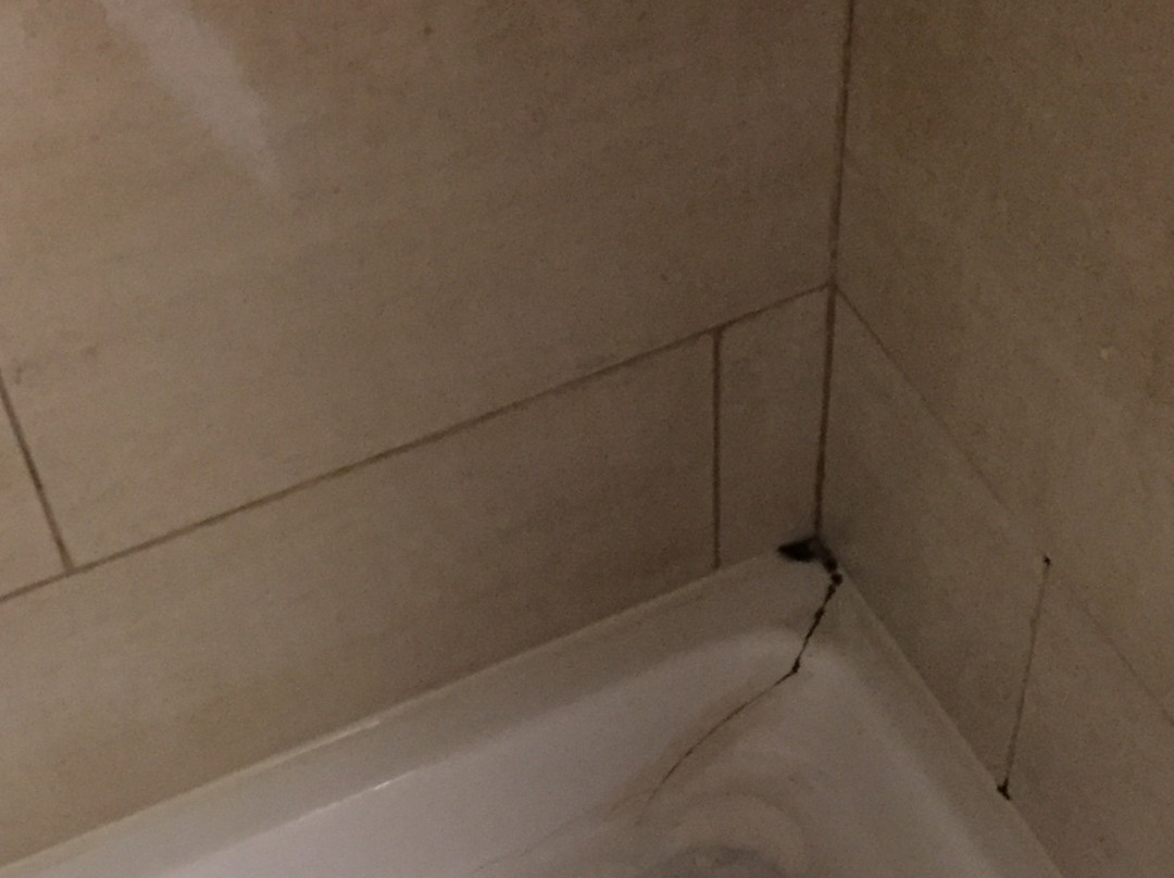 伊加查酒店主图