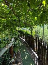 Agriturismo Barone Antonio Negri主图