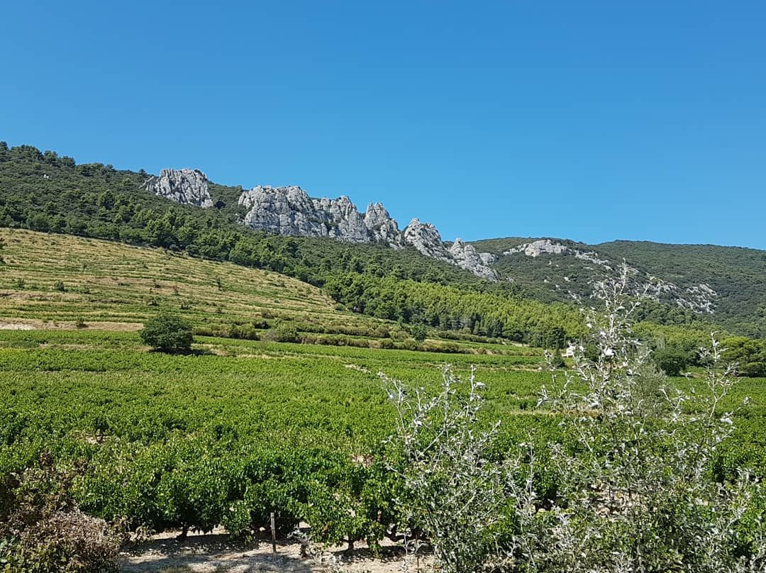 Domaine MathiFlo-Suzette必去景点