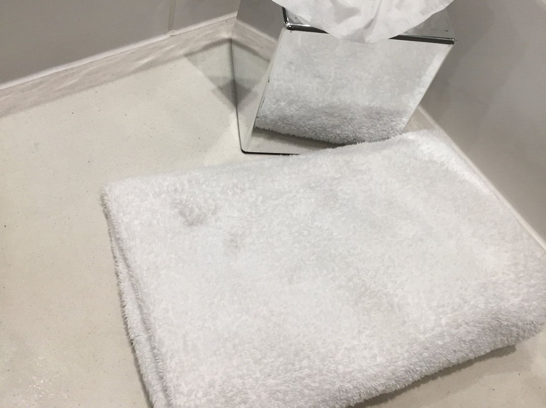 Maldron Hotel Limerick主图