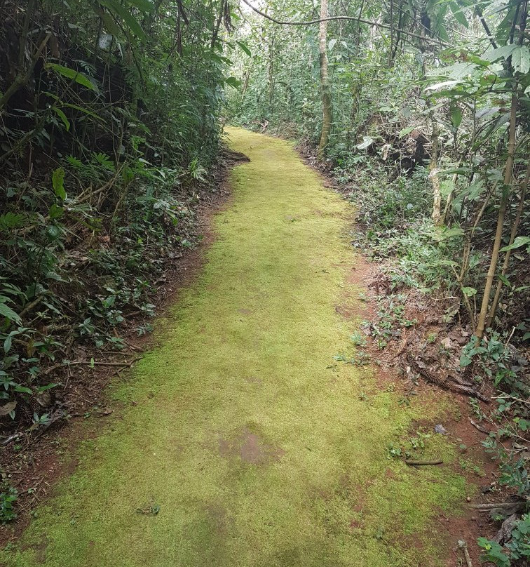 Parque Estadual de Nova Baden-Lambari必去景点