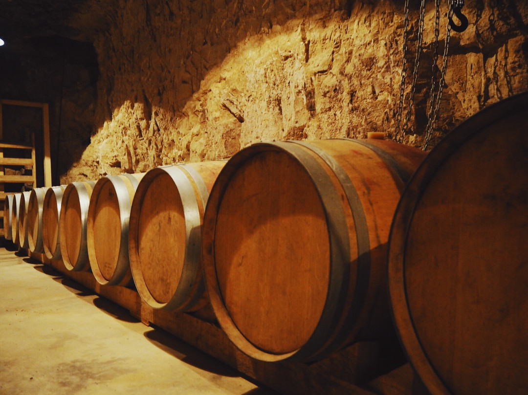 Bodegas González Puras-San Asensio必去景点