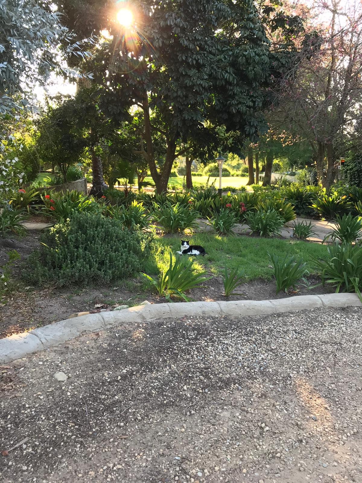 Portland Manor-浴室