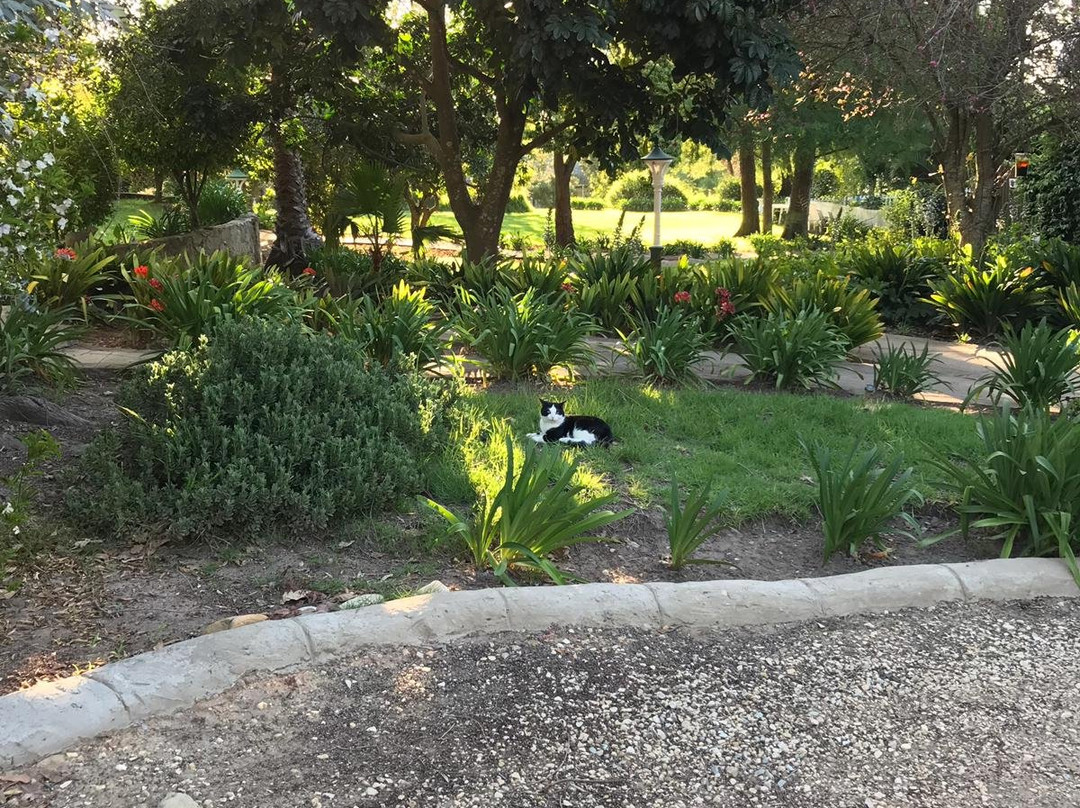 Portland Manor主图