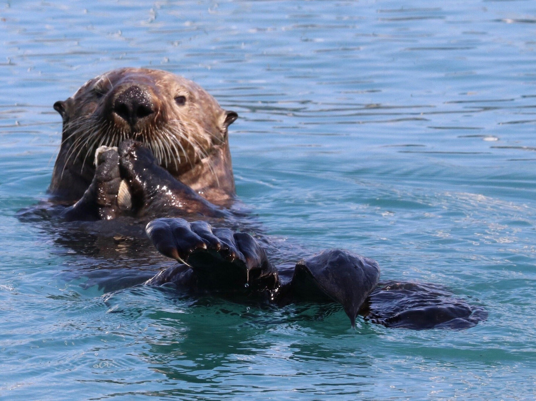 Waterfront Park-苏厄德必去景点