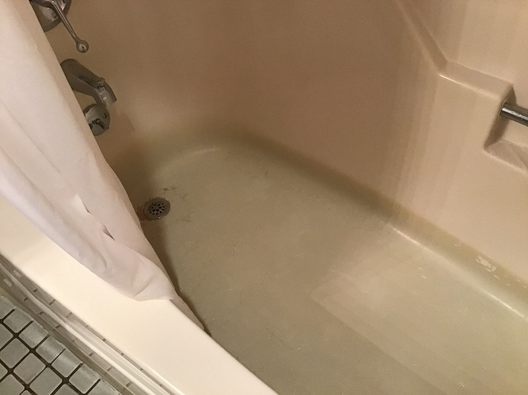 Beekman Arms and Delamater Inn主图