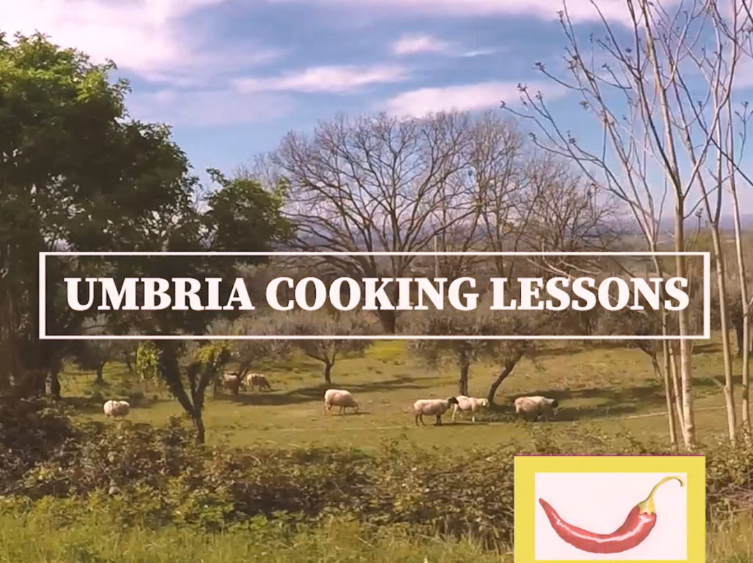 Cooking Lessons in Umbria Anna Maria景点图片