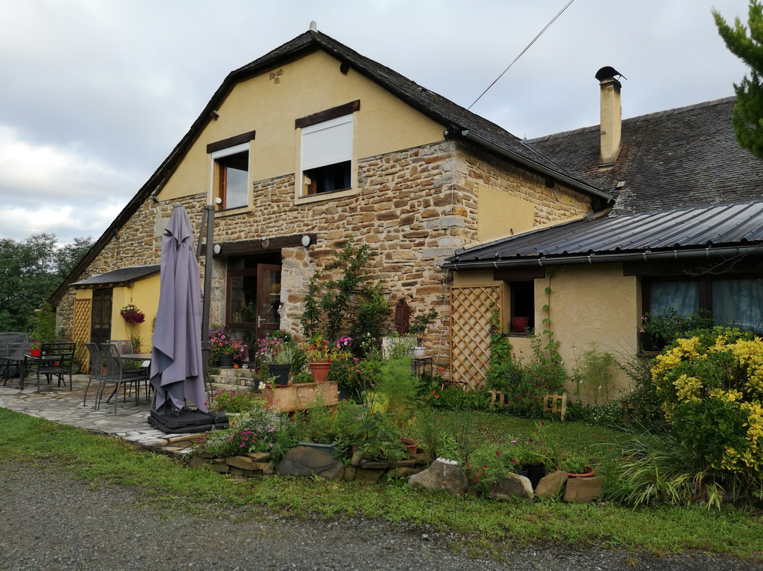 La Ferme Aux Sangliers - Micalet主图