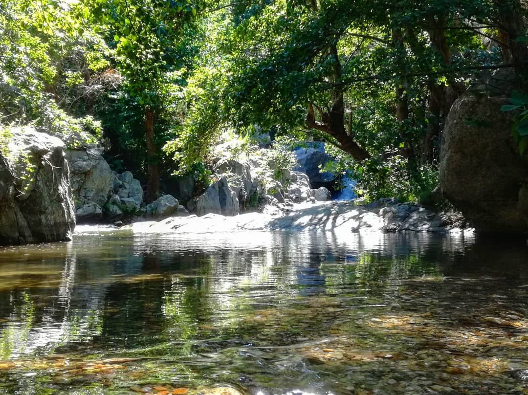 Parco Fluviale del Vergari景点图片