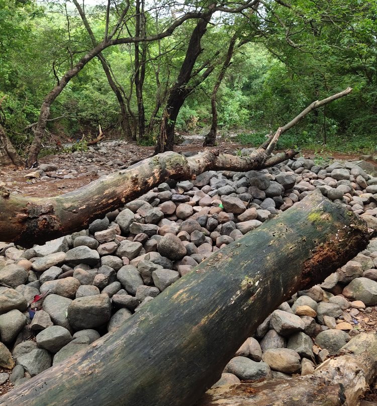 Tungareshwar Wildlife Sanctuary景点图片