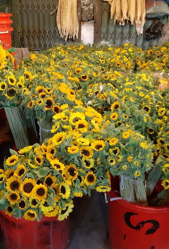 Beetrip-胡志明市必去景点