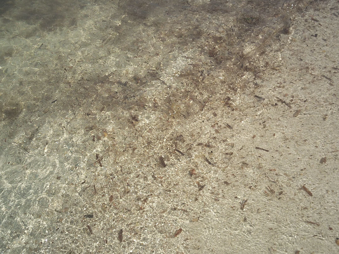 Cala Lena景点图片