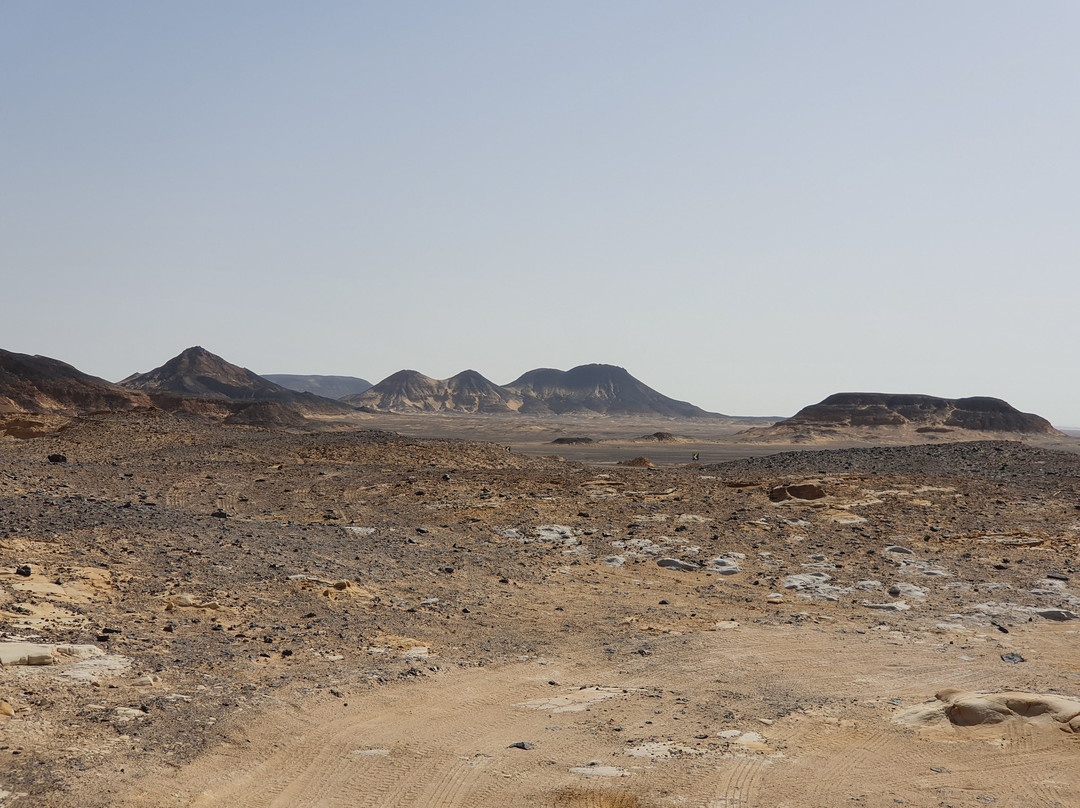Desert Egypt Safari景点图片