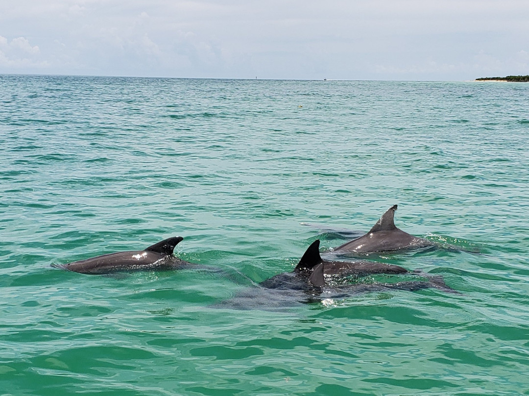 Straw Hat Charters-基韦斯特必去景点