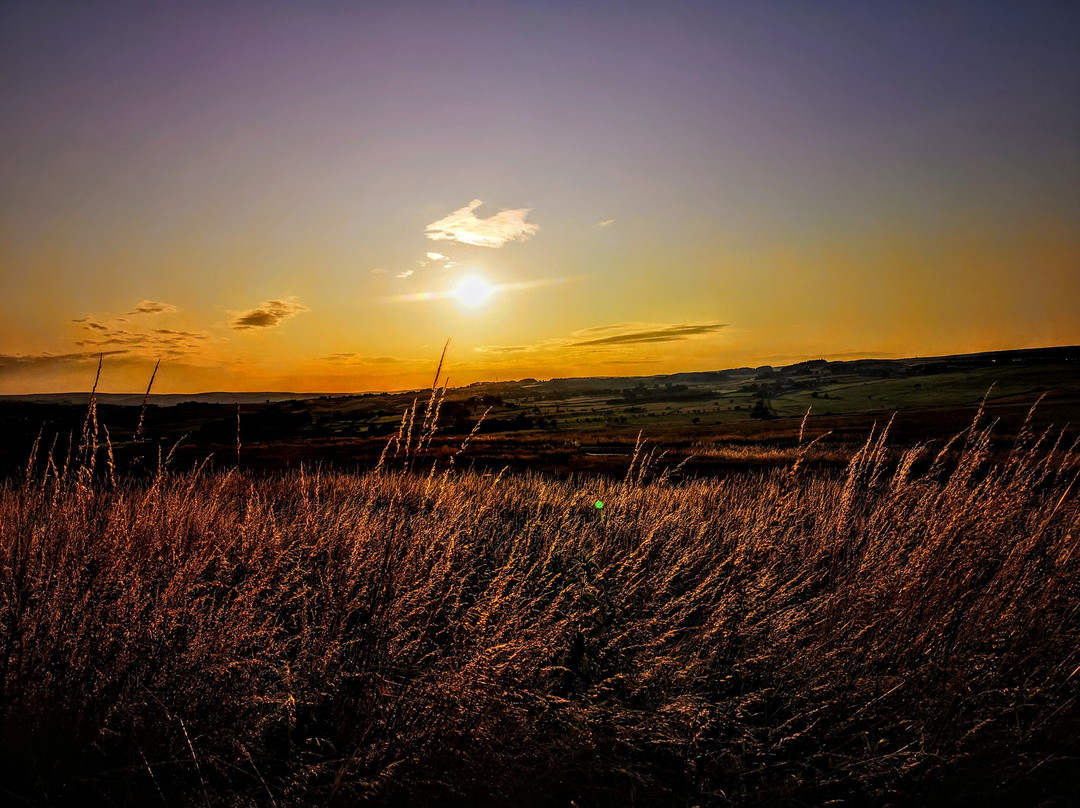 Baildon Moor-Shipley必去景点