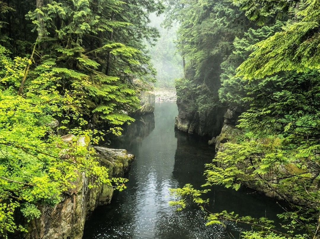 Capilano River Regional Park-北温哥华必去景点