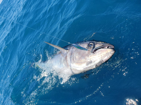 Exotic Fishing Mediterranee-Port-Saint-Louis-du-Rhone必去景点
