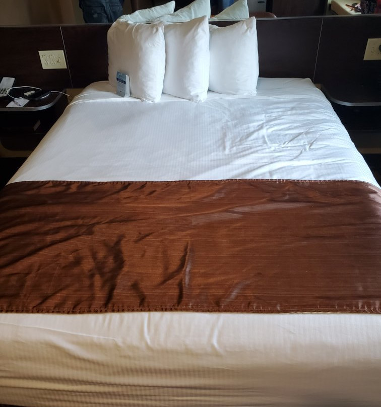 Microtel Inn & Suites by Wyndham Carrollton主图