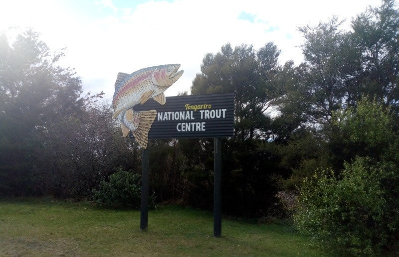 Tongariro National Trout Centre景点图片