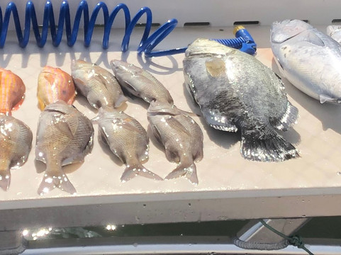 Salty Dog Charters-马德拉海滩必去景点