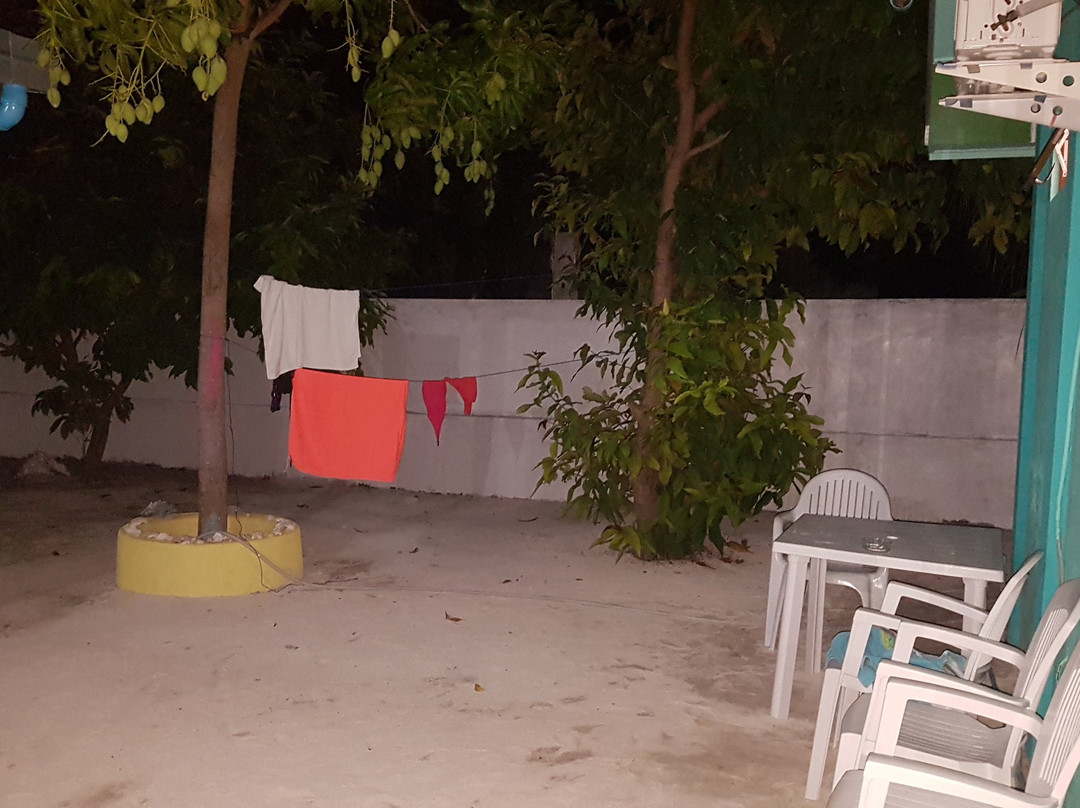 Starfish Inn Hotel主图