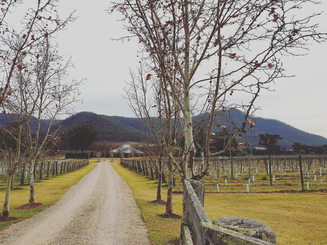 Krinklewood Vineyard-Broke必去景点