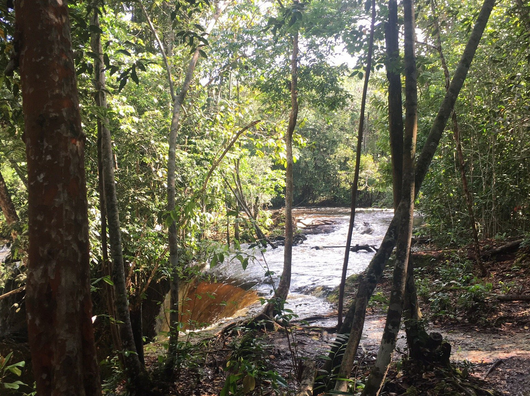 Cachoeira das Araras景点图片