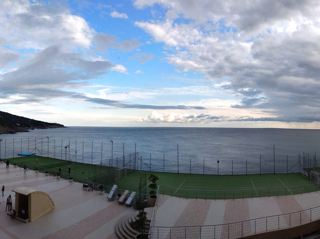 Hotel Bukhta Mechty Laspi主图