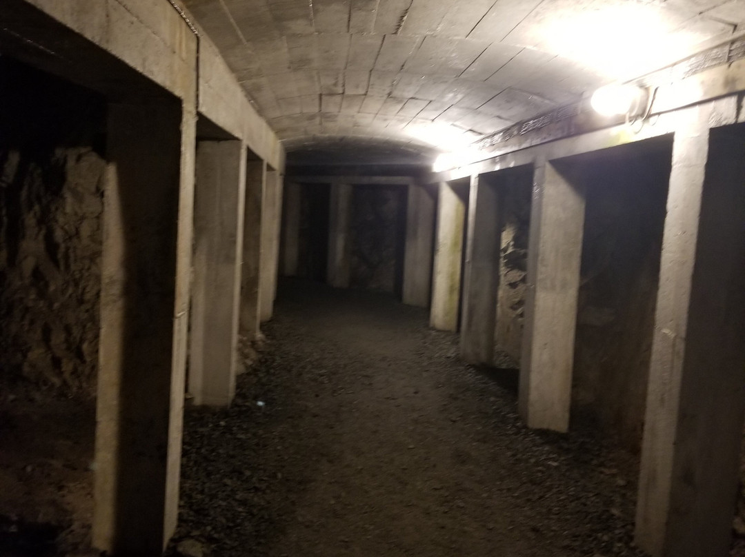 Andersgrotta WWII Bomb Shelter-希尔克内斯必去景点