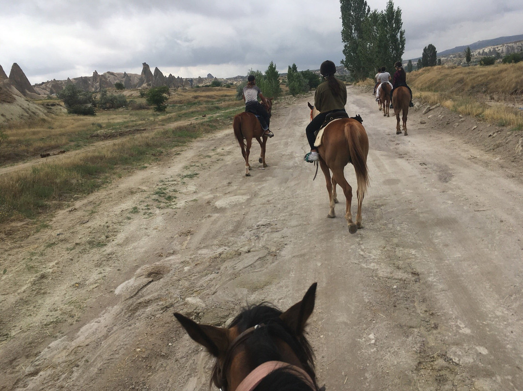 The Dalton Brothers Horse Riding Tours景点图片