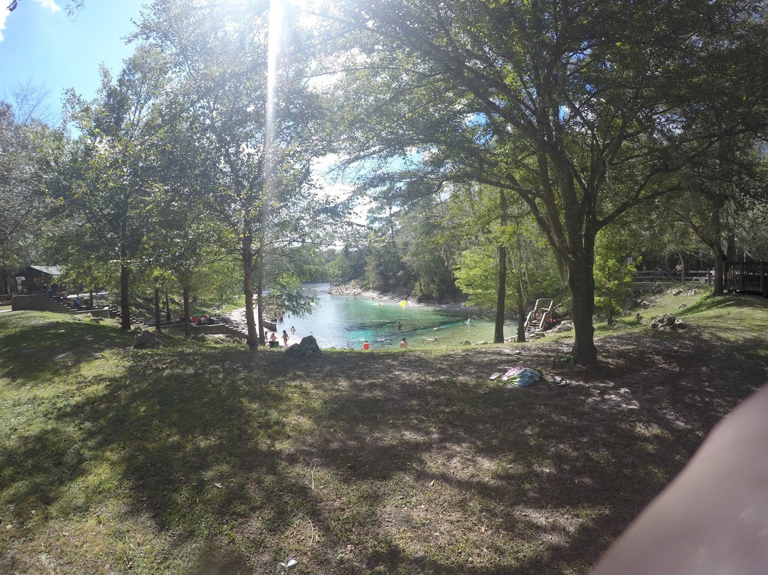 Lafayette Blue Springs State Park-Mayo必去景点