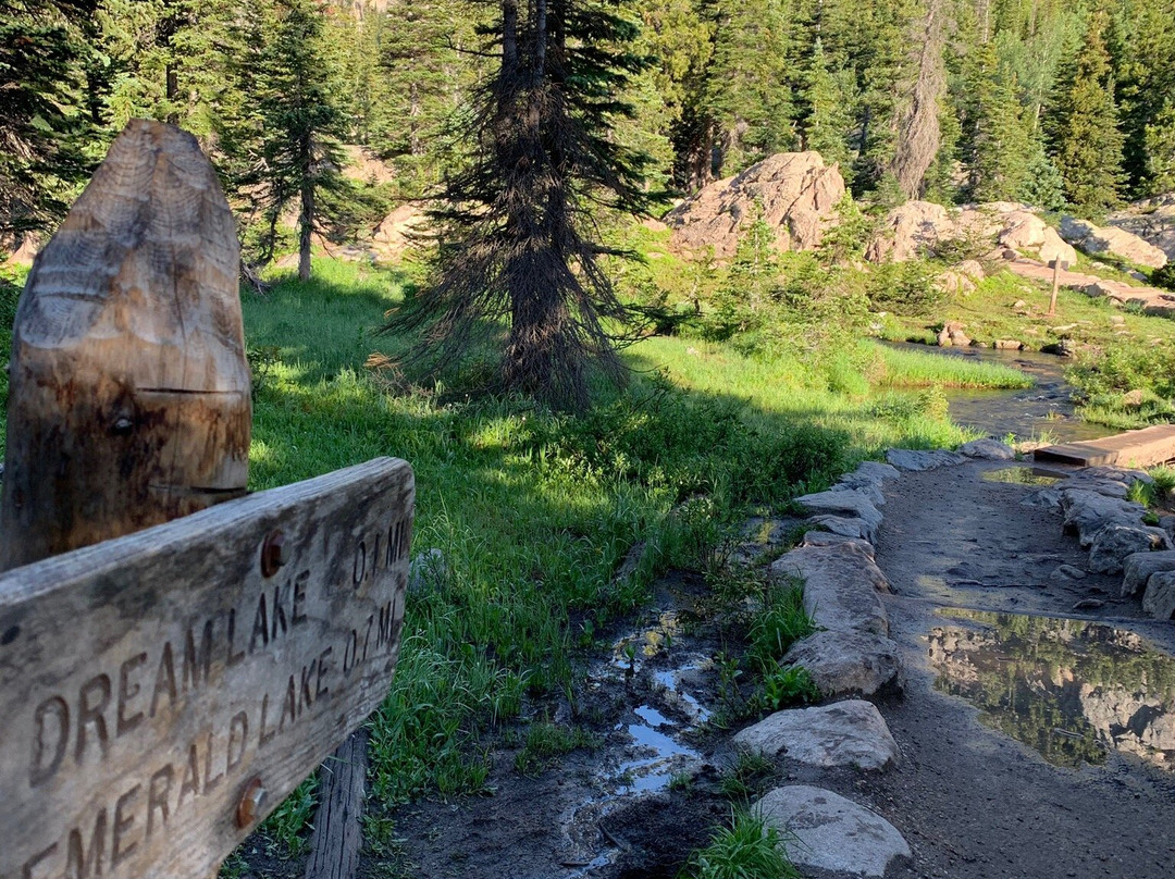 Emerald Lake Trail景点图片