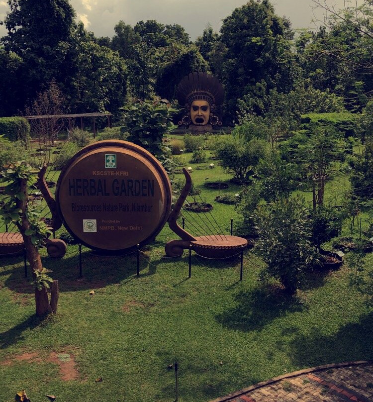 Nilambur Teak Museum景点图片