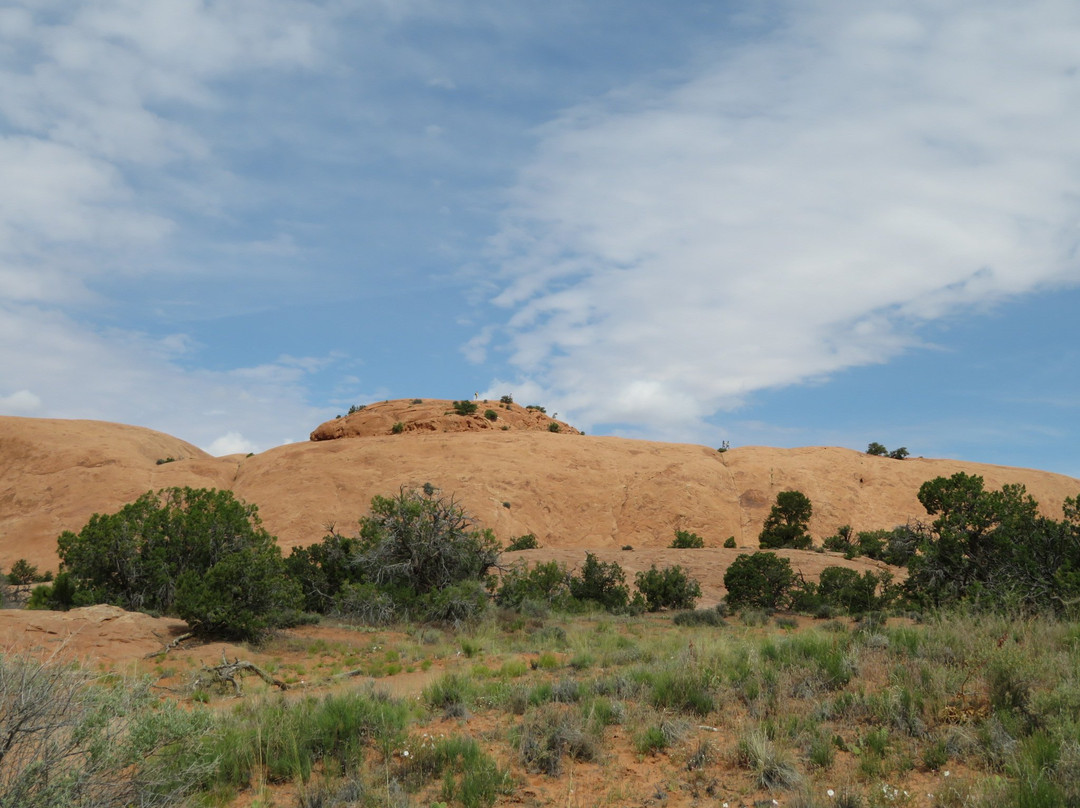 Whale Rock-峡谷地国家公园必去景点