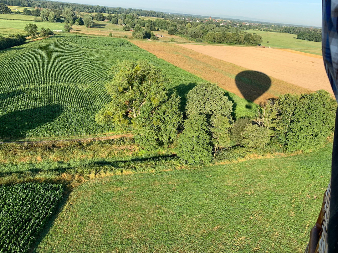 Ballooning 2000景点图片