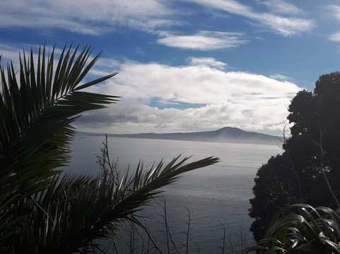 The Taupua Experience-奥克兰中心地区必去景点