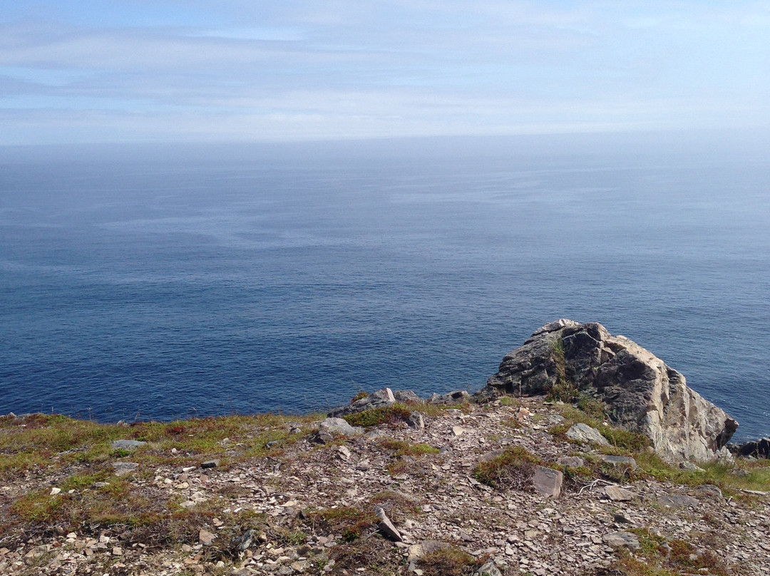Ferryland Town景点图片